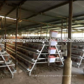 Gaiola de frango galvanizado de 3 camadas ou 4 camadas para a Nigéria Uganda Quênia Arica Market